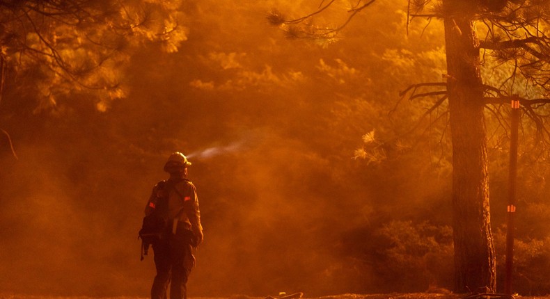 Thousands of COVID-19 cases and deaths may have been due to wildfire ...