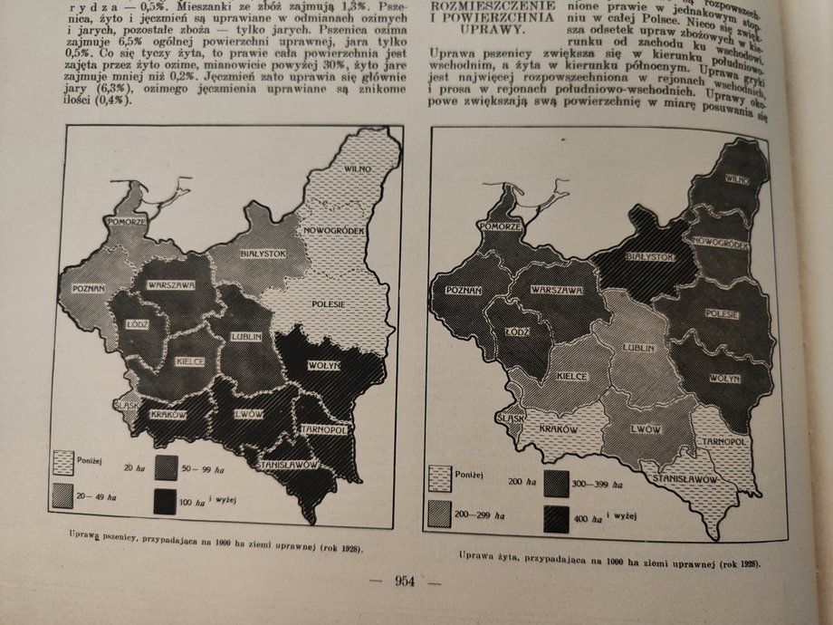 Mapy ilustrujące uprawy pszenicy oraz żyta