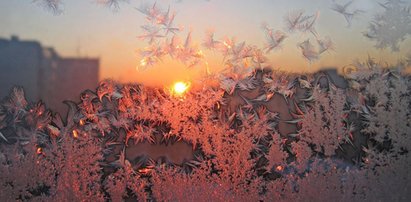 Nadchodzą nocne mrozy. Może być nawet minus 15 stopni!