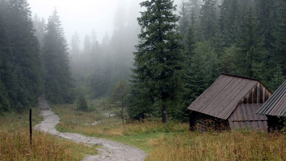 Niekorzystne warunki turystyczne panują w czwartek w Tatrach. Szlaki są mokre i śliskie, a na odcinkach leśnych błotniste. Górskie wędrówki utrudniają deszcz i mgła.