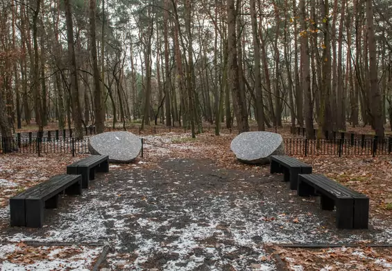 Poznański Las Pamięci. Na tym cmentarzu nie ma nagrobków i krzyży