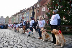 Imperialni szturmowcy, pokazy psów... 28. Finał WOŚP