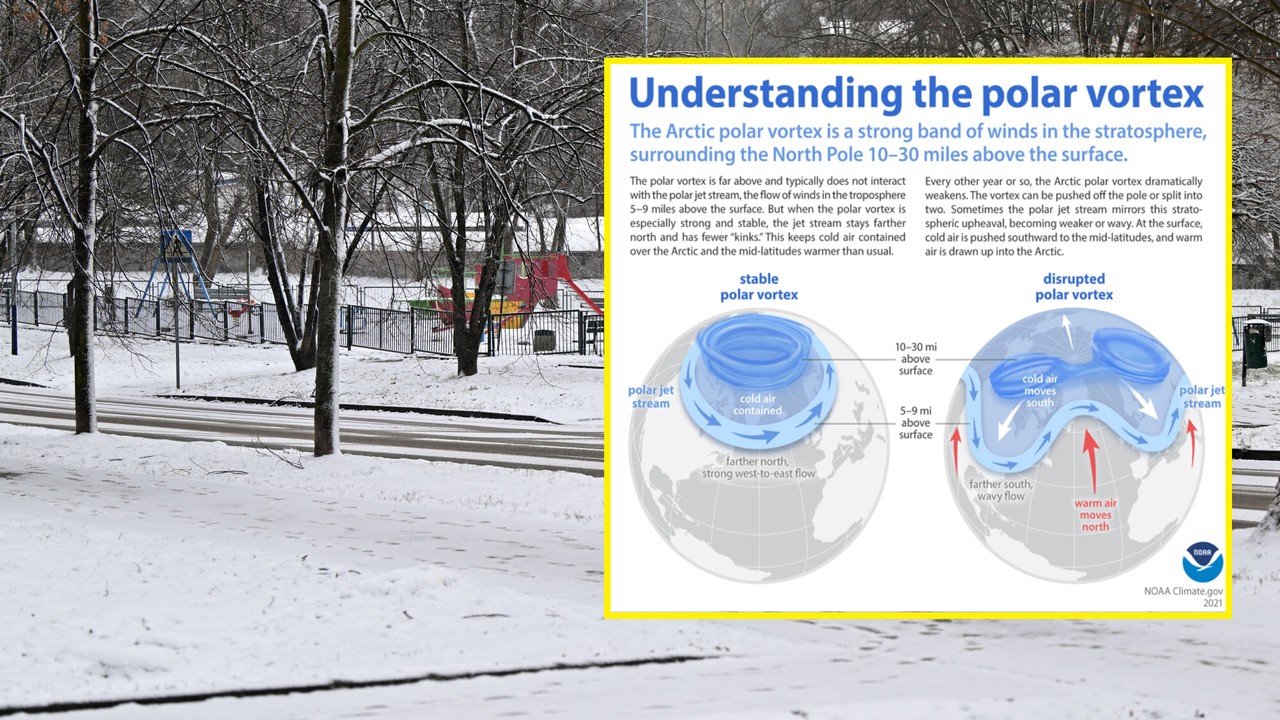 Zaskakujące pierwsze prognozy pogody na zimę. najważniejsze będą dwa czynniki