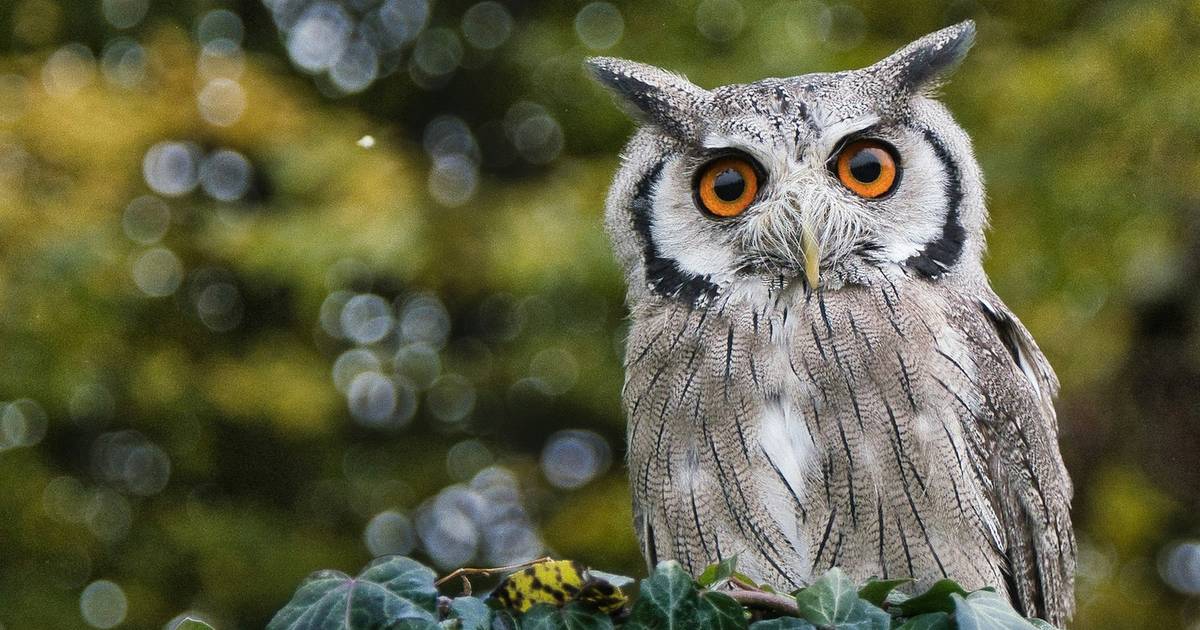 Ten quiz z podstawówki zawstydzi dorosłych. Skup się zanim zaczniesz