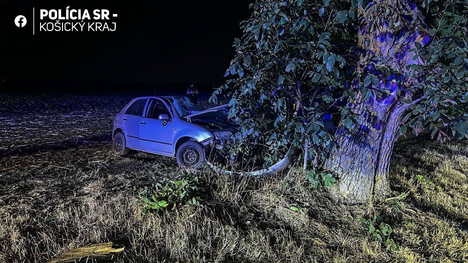 Pri čelnej zrážke dvoch áut v okrese Michalovce zahynul vodič vozidla,
