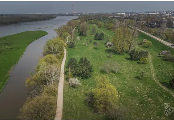 Na dzikim brzegu Wisły ma powstać park. Aktywiści krytykują pomysł, ratusz mówi o nieporozumieniu