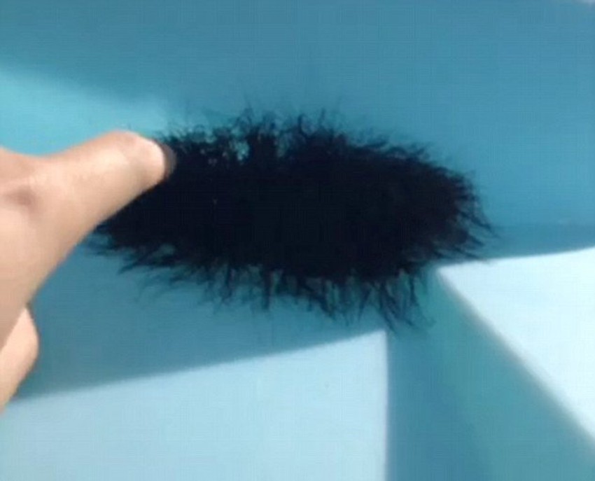 Leglo paukova od kog je kamerman pomislio da je grumen kose