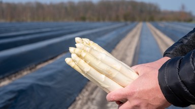 Zlikwidowano obóz, w którym pracownicy z Rumunii mieszkali w „przerażających” warunkach