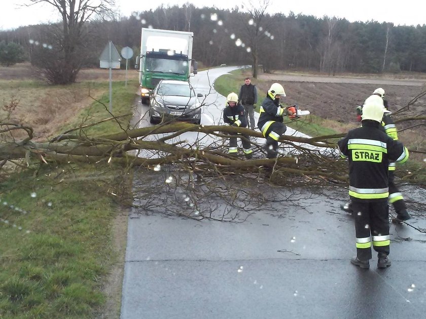 Usuwał powalone drzewo. Potrąciło go auto