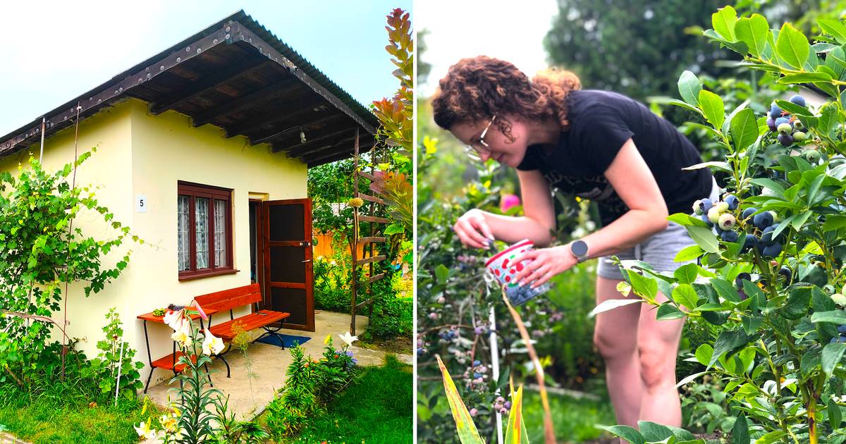 Para przejęła działkę ROD babci. Jej wartość wzrosła 10-krotnie