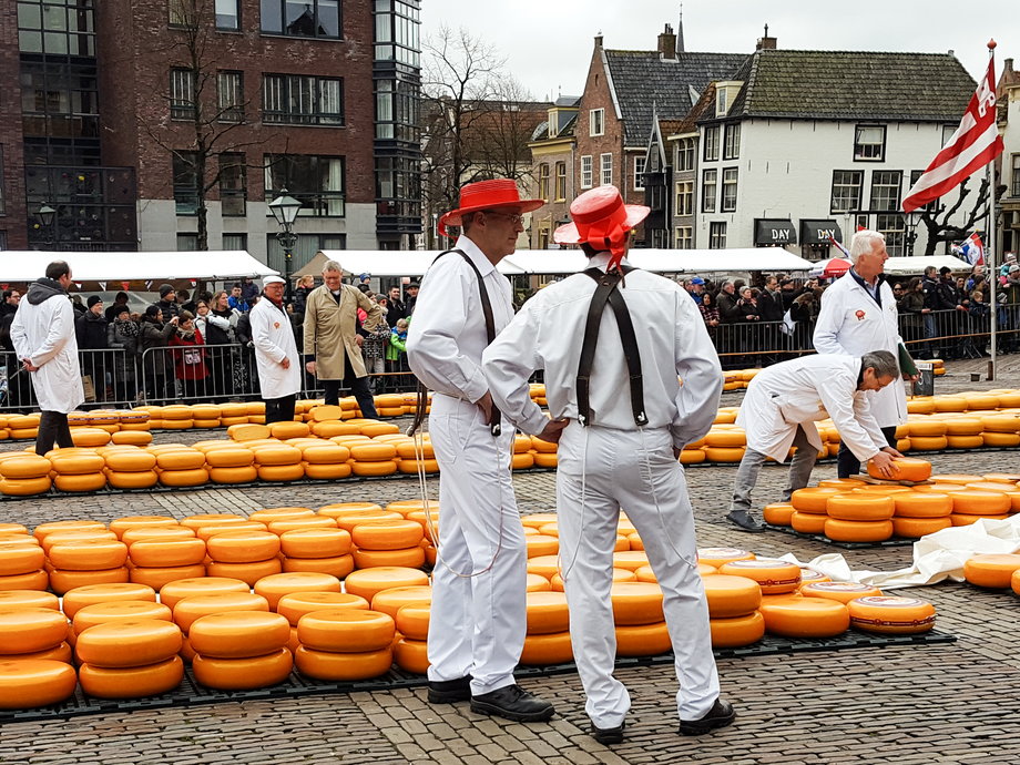 23 festiwal sera w Alkmaar