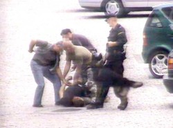 Policjanci pobili łobuzów