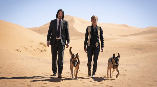 Kinowe nowości: „John Wick 3" z Keanu Reevesem oraz „Tolkien" [WIDEO]