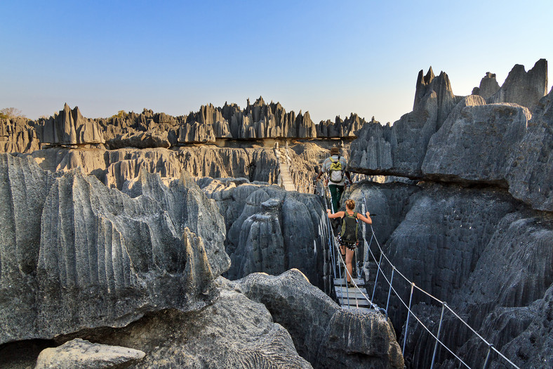 Tsingy de Bemaraha (Kamienny Las), Madagaskar