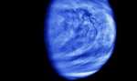 Sensacyjne odkrycie naukowców. Ślady życia na Wenus?