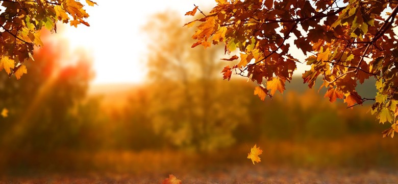 Jeden prosty nawyk, który zmniejsza ryzyko chorób serca o dwie trzecie