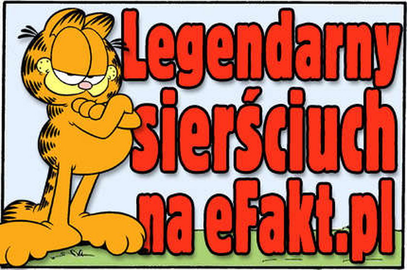 Garfield. Legendarny sierściuch na eFakt.pl