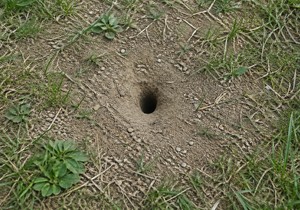 Rupa od zmije
