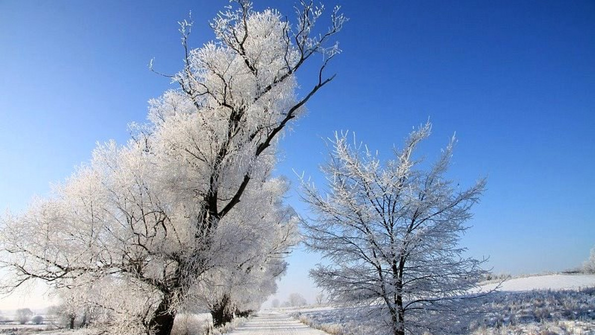 Mróz wciąż trzyma, lecz synoptycy twierdzą, że najzimniejsze dni są już za nami. Mimo tych zapowiedzi, w weekend nadal będzie bardzo zimno. Sprawdź, ile stopni pokażą termometry w Twoim regionie!