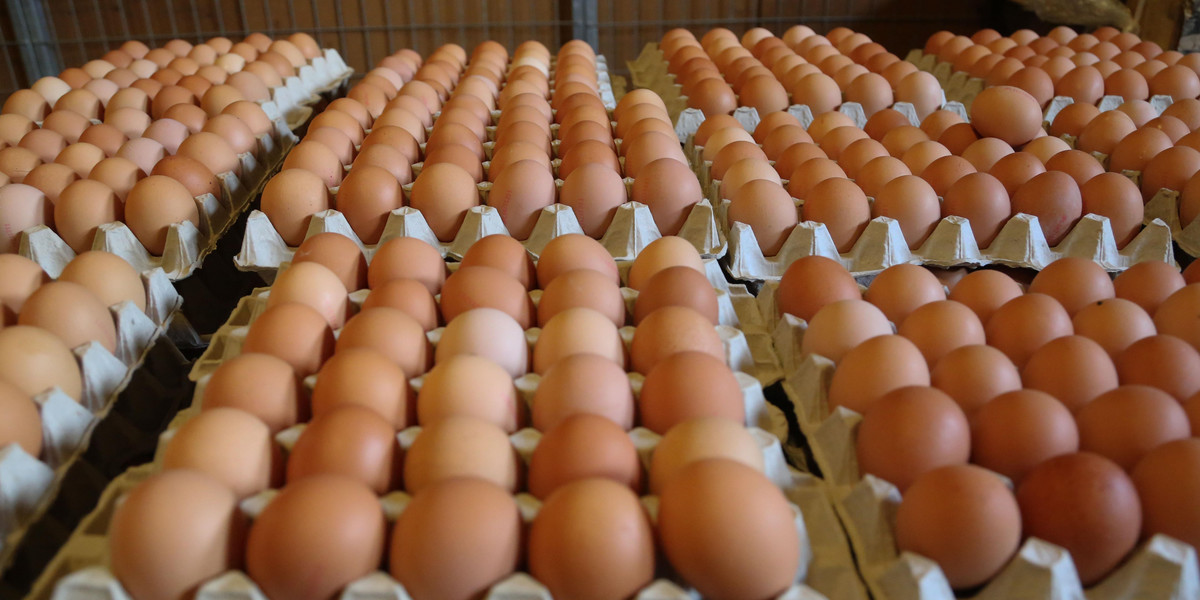 Obecna w jajach Salmonella to jedna z głównych przyczyn zatruć pokarmowych