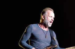 Specjalny występ Stinga we Włoszech. Odwiedził protestujących robotników fabryki w Toskanii