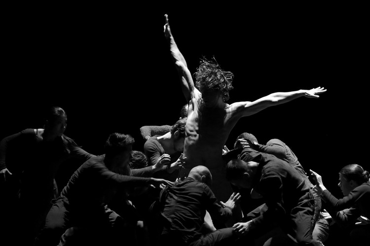 Zdjęcie 'Fedra' autorstwa Krzysztofa Mystkowskiego