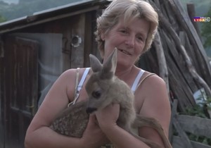 Zorica sa lanetom