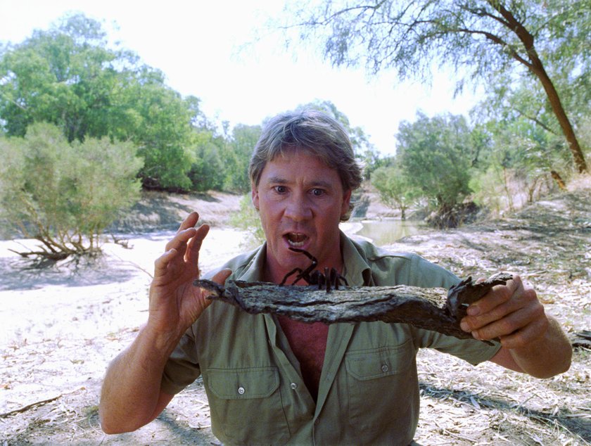 Steve Irwin