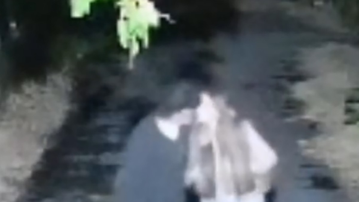 (VIDEO) SOFIJA JANIĆIJEVIĆ SE LJUBI U USTA SA DANETOM (70) Isplivao snimak kako razmenjuju  nežnosti nasred ulice!