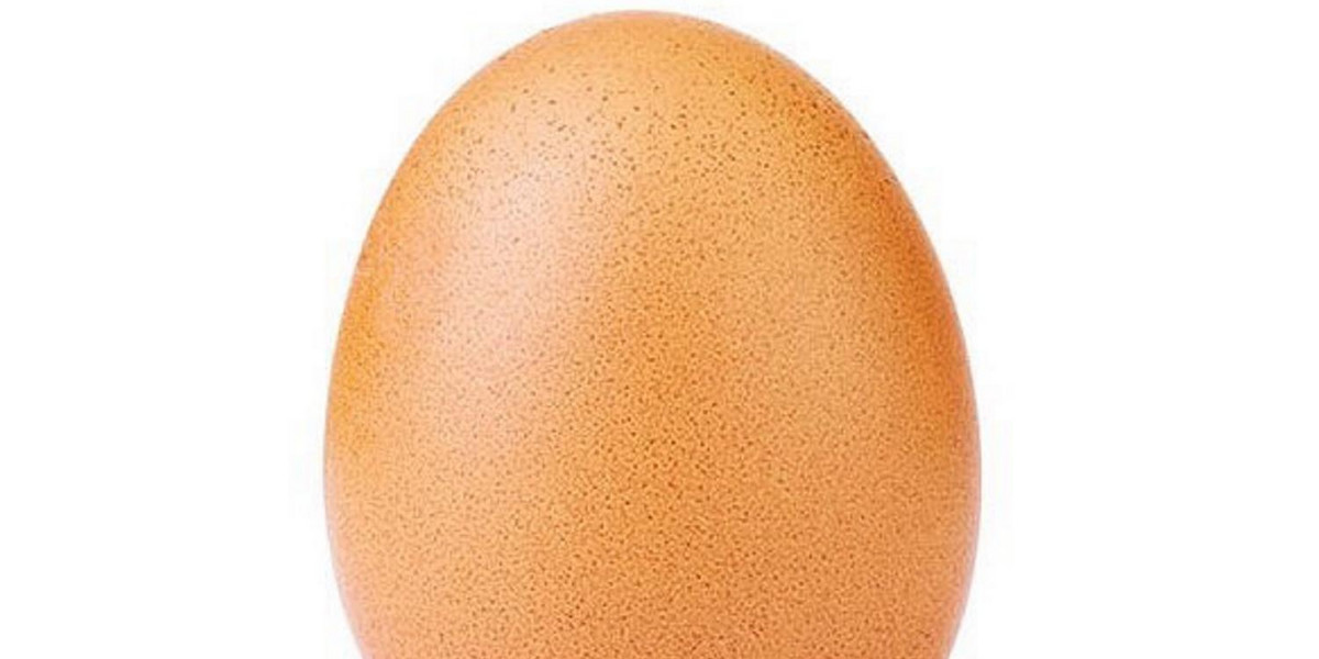 Rekordowe jajko