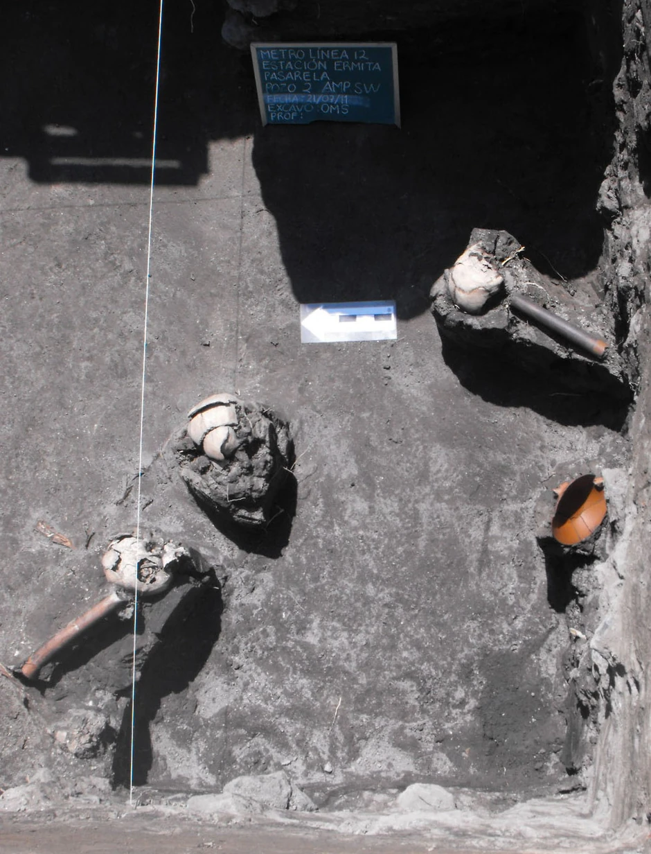 Pseća lobanja koja je bila istaknuta na žrtvenom stalku - najneobičniji nalaz