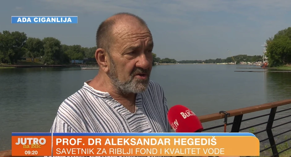 Prof dr Aleksandar Hegediš
