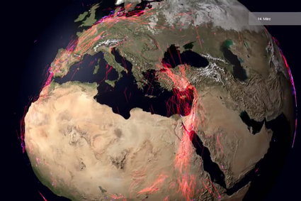 8 tysięcy tras – zobacz animowaną wizualizację migracji zwierząt na całym świecie