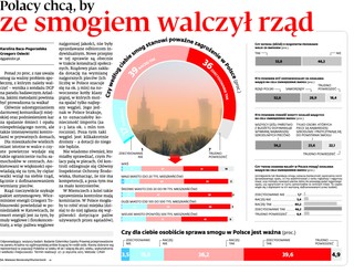 Polacy chcą, by ze smogiem walczył rząd