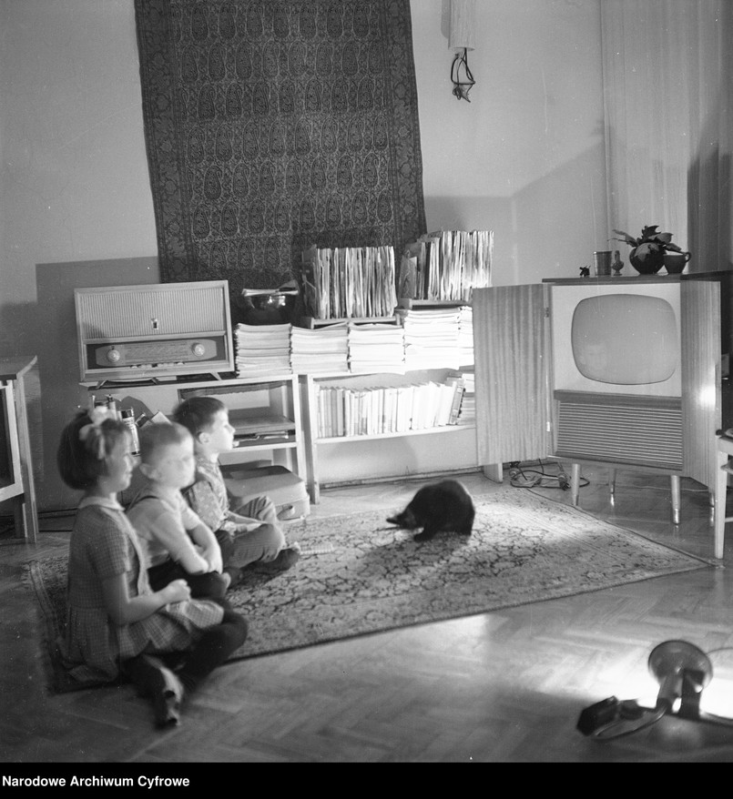 telewizor