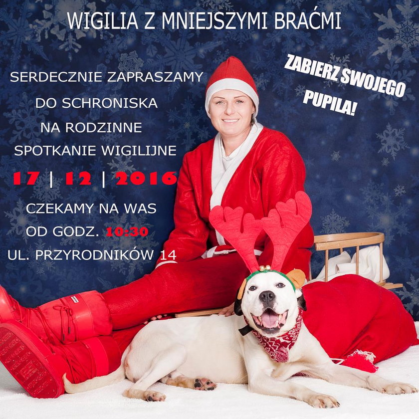 Schronisko Promyk w Gdańsku zaprasza na wigilię . Mieszka tam teraz 150 psów i kilkadziesiąt kotów