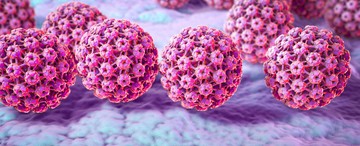 A HPV vírus jelentősége kiemelendő a méhnyakrák kialakulásában, melyek ellen már létezik hatékony vakcina.