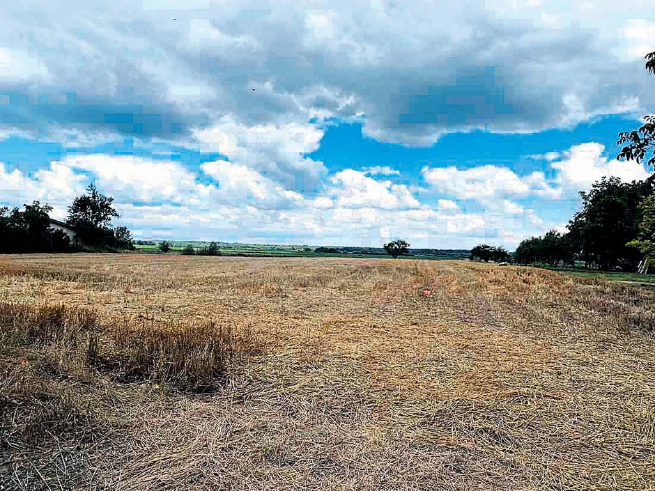 Plac na kome se nalazio luna park 