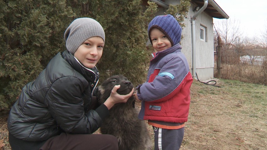 Stefan (4) i Ilija (10), Draganovi sinovi