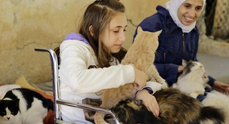 Syrian volunteers play with animals at a farm-turned-shelter run by the Syrian Team for Animal Rescue (STAR), in Sahnaya near Damascus