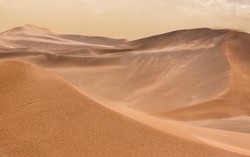 QUIZ z wiedzy ogólnej na poziomie podstawówki. Wiesz więcej niż 8-klasista?