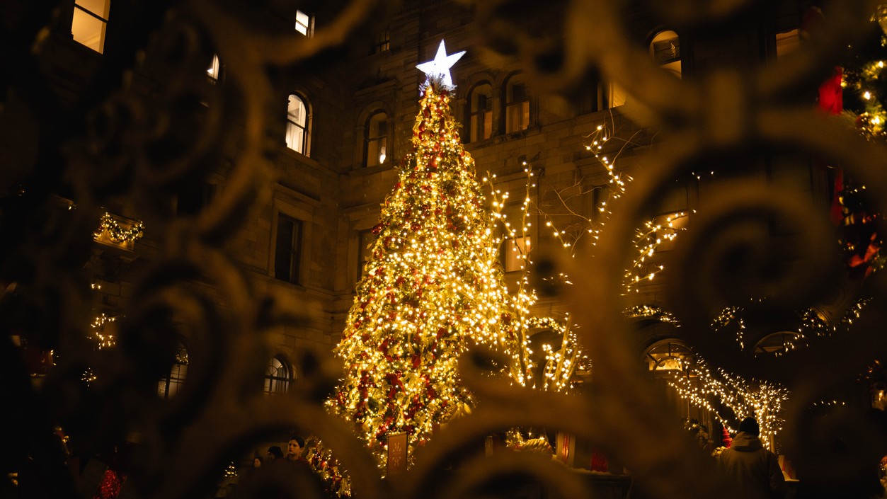 Vianočný stromček symbolizuje sviatočnú atmosféru a neopakovateľnú krásu Vianoc.