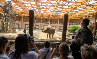 Zapłać bonem turystycznym w Orientarium Zoo Łódź