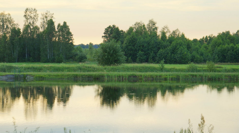 Wieś Łyse, Polska