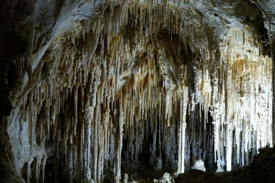 Galeria USA - Carlsbad Caverns, obrazek 23