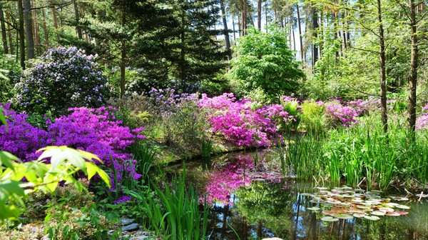 Na miłośników zieleni czeka Arboretum Leśne - 85 hektarów żywej kolekcji dendrologicznej z rzadkimi gatunkami roślin, stawami i alpinarium. 