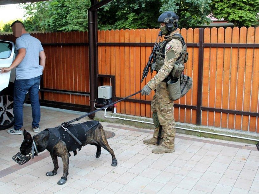 Wielka akcja policji. Rozbili groźny gang