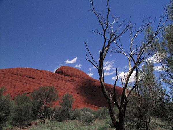 Galeria Australia - Uluru i Kata Tjuta, obrazek 15