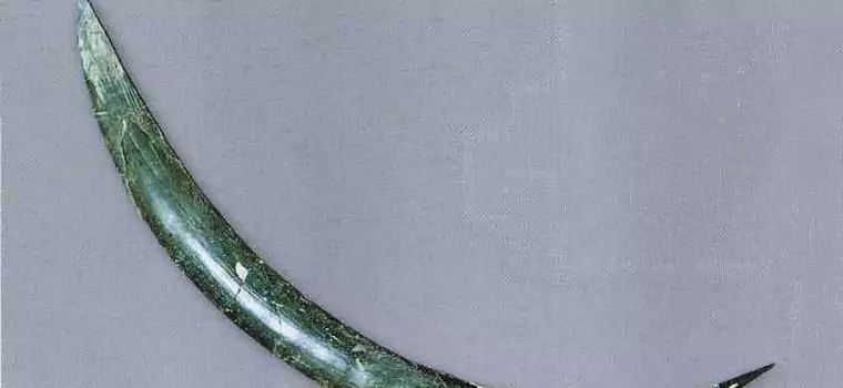 Najstarszy bumerang pochodzi z Polski - trzydzieści lat temu dowiedział się o tym cały świat