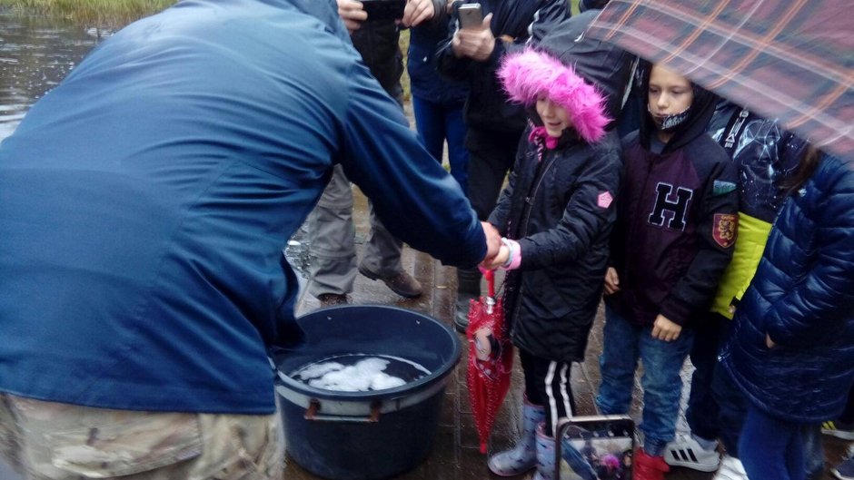 Zarybianie rzeki Regi narybkiem jesiennym. Foto: Starostwo Gryfice